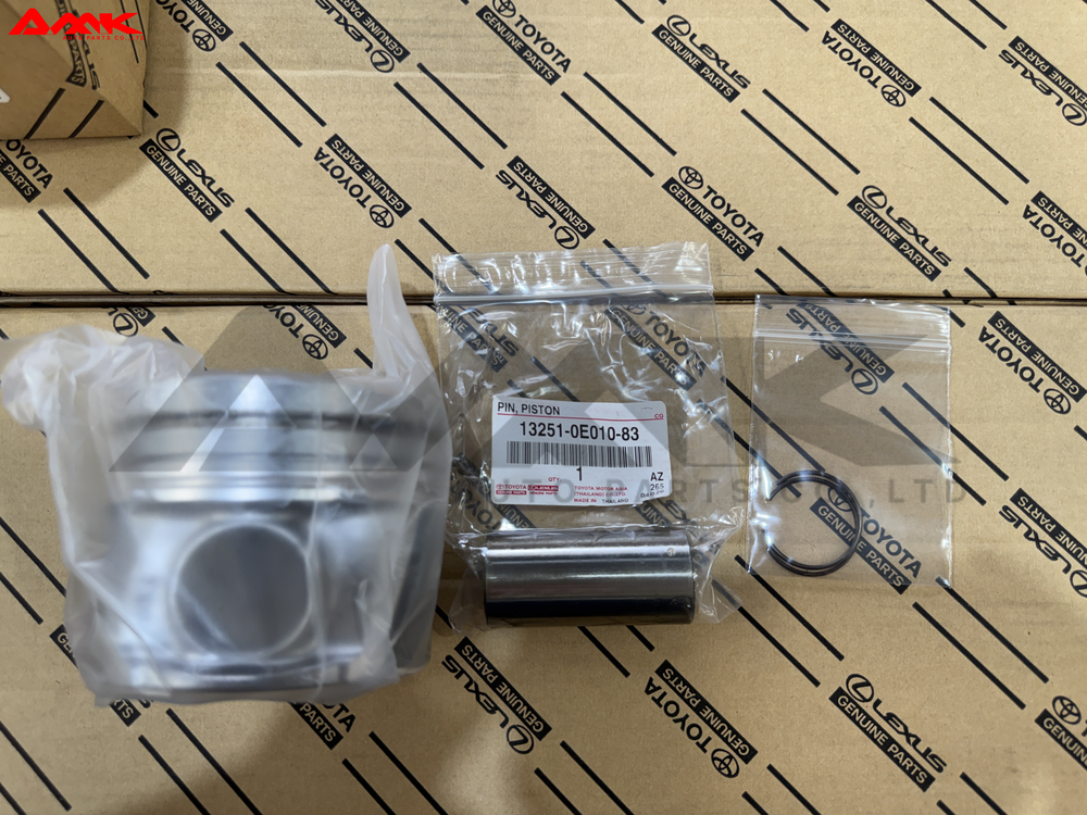 13101-0E010-01
